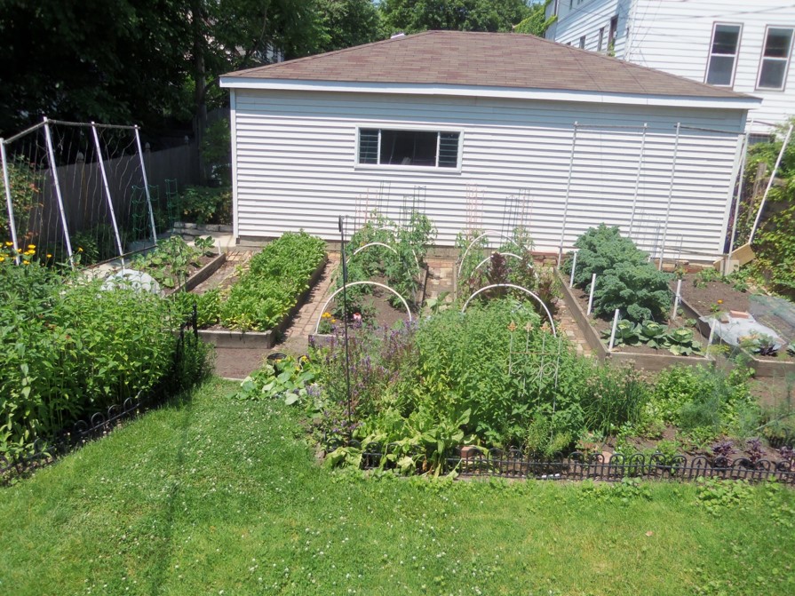 Mulch in between garden bed rows